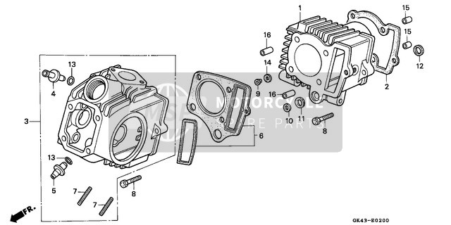 Cylinder/Cylinder Head